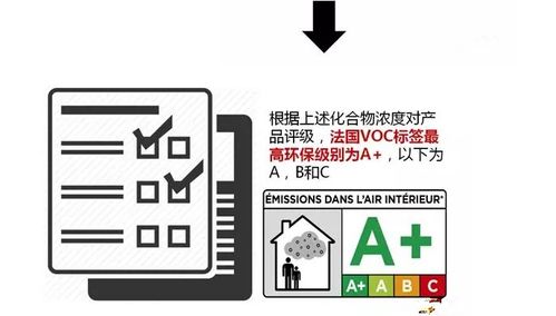 法国a 办理流程费用多少